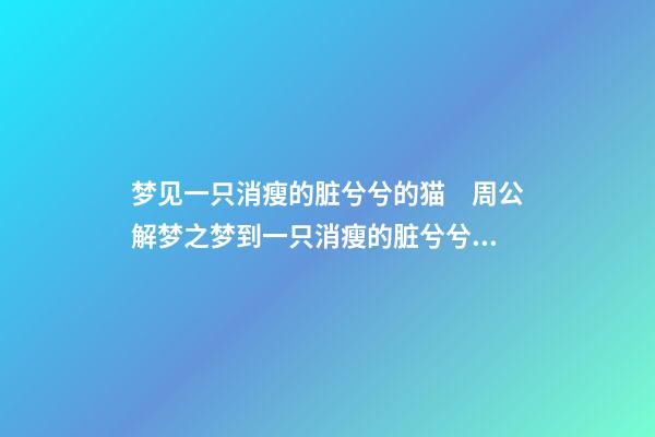 梦见一只消瘦的脏兮兮的猫　周公解梦之梦到一只消瘦的脏兮兮的猫
